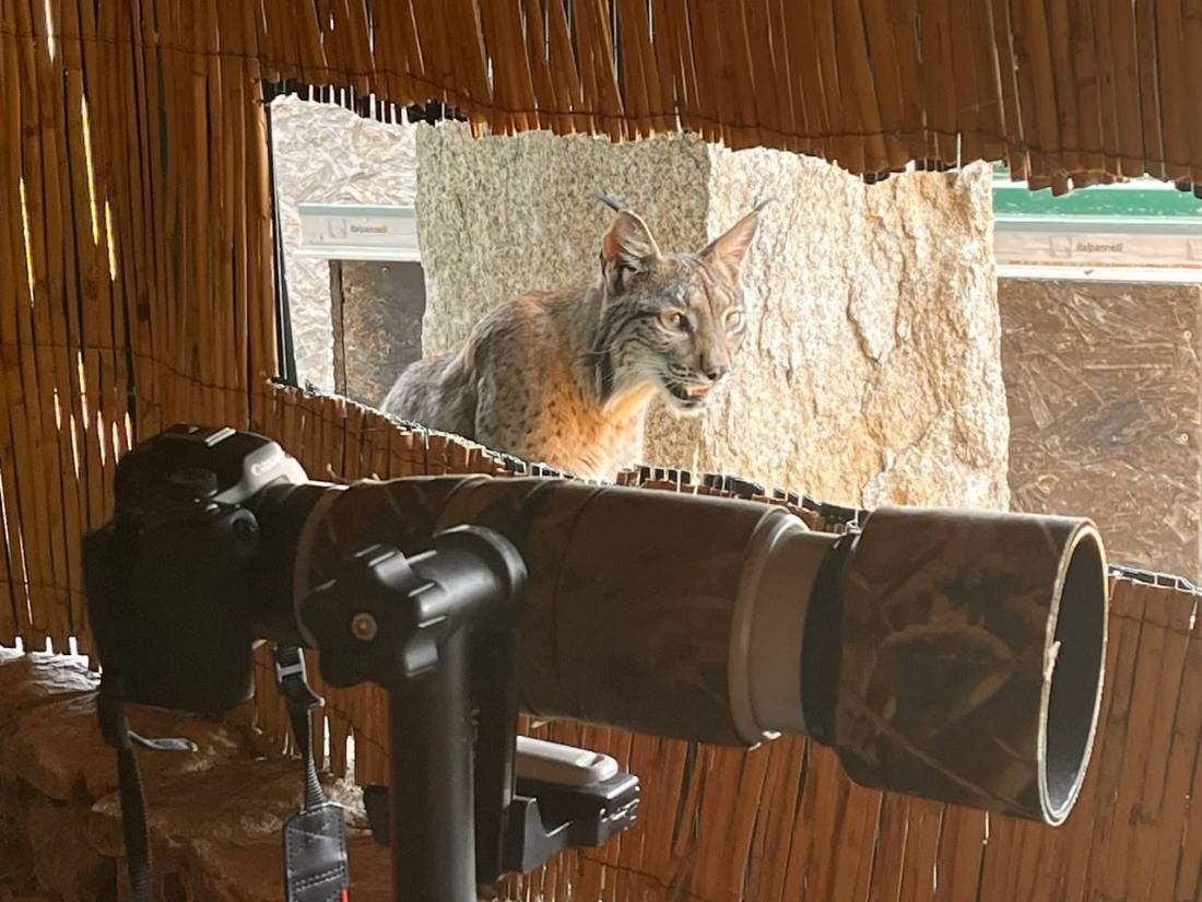 Fotografía de naturaleza