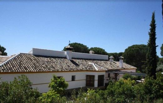 Alojamiento Gato Clavo: casa principal del cortijo