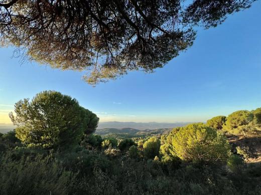 Paisaje de Sierra de Andújar: panorámica verde