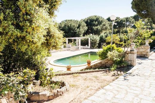 Finca Gato Clavo: piscina entre vegetación